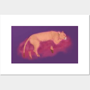 Mystic mountain lion sleeping in pink clouds Posters and Art